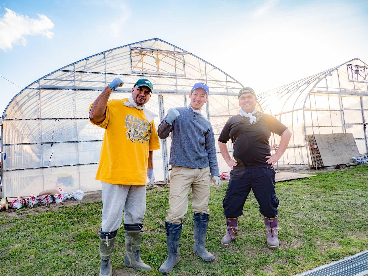 agriculture, photo, training