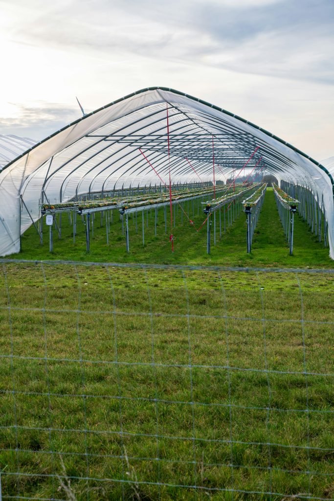 Wide-angle view of a greenhouse structure on a grassy field under a cloudy sky.